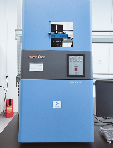 未来之星儿童天赋基因解码