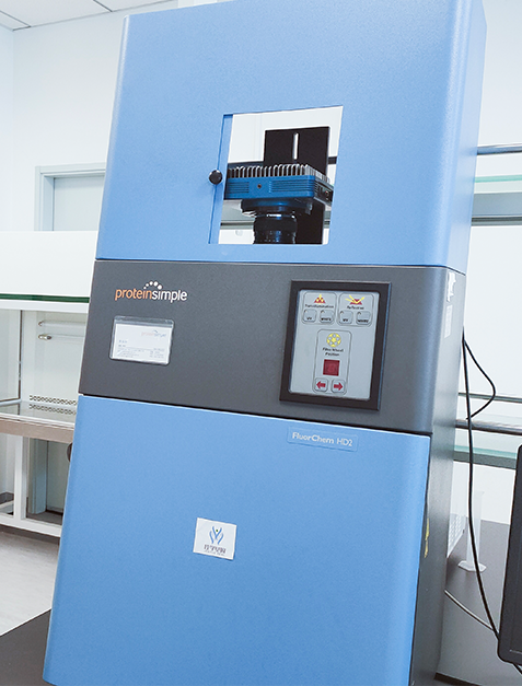 未来之星儿童天赋基因解码