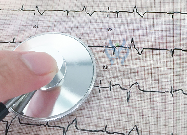 抗癌小鼠传奇，