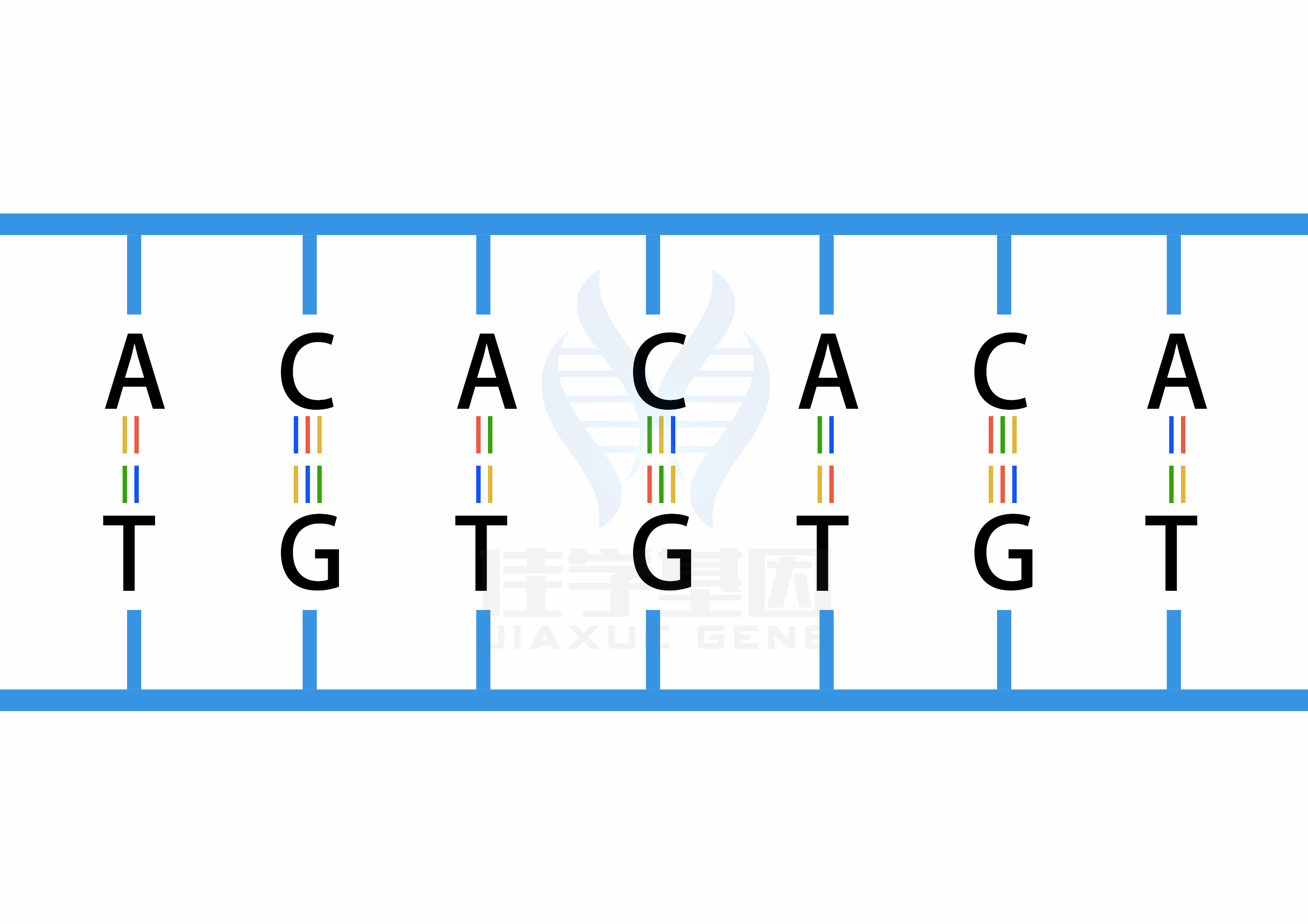 【佳学基因检测】做奥沙西泮的敏感性-其他基因解码、基因检测的费用是多少？