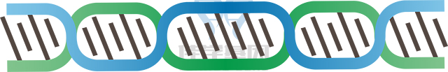 【佳学基因检测】做甲基丙二酸尿症由于转铁氨酸受体缺陷引起基因解码、基因检测需要到总部吗? 【佳学基因检测】做甲基丙二酸尿症由于转铁氨酸受体缺陷引起基因解码、基因检测需要到总部吗?