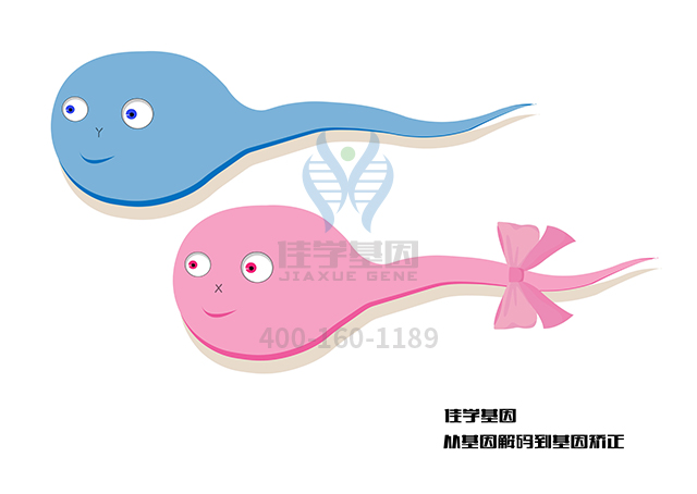 【佳学基因检测】Megalencephaly-polymicrogyria-polydactyly-hydrocephalussyndrome基因解码、基因检测的样品有区别吗？