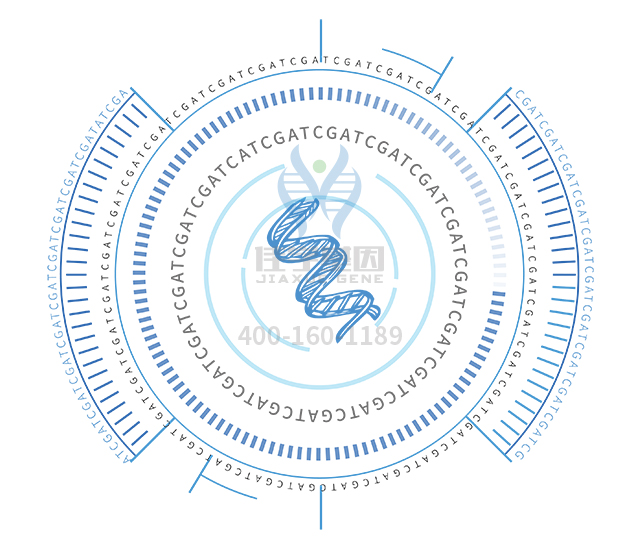 【佳学基因检测】做Björnstad综合征基因解码、基因检测方便吗？