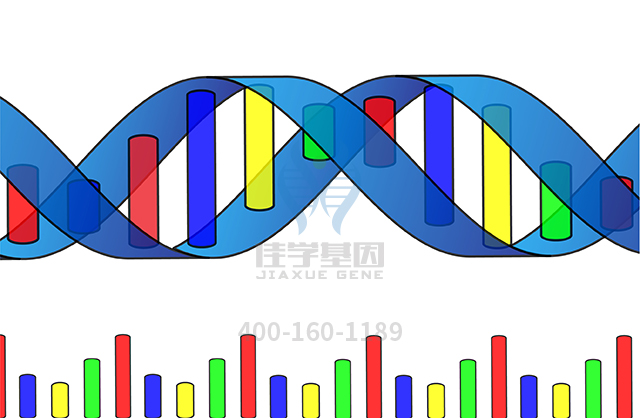 【佳学基因检测】多中心骨溶解性肾病基因解码、基因检测可以只做基因解码吗? 【佳学基因检测】多中心骨溶解性肾病基因解码、基因检测可以只做基因解码吗?