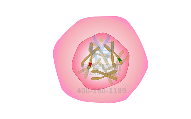 【佳学基因检测】脑瘤-息肉综合征2型基因解码、基因检测有什么用？