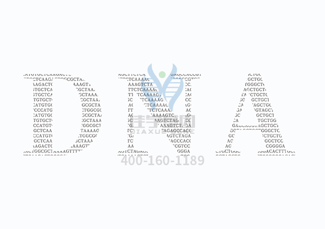 【佳学基因检测】阿糖腺苷基因检测