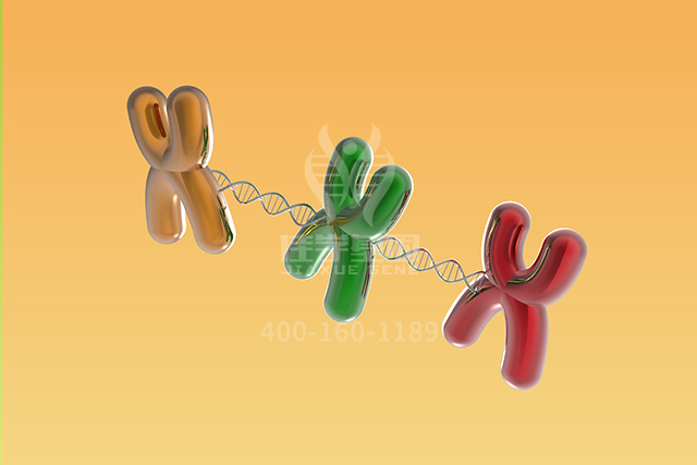 【佳学基因检测】医学博士TNFRSF17突变检测的知识结构准备 【佳学基因检测】医学博士TNFRSF17突变检测的知识结构准备