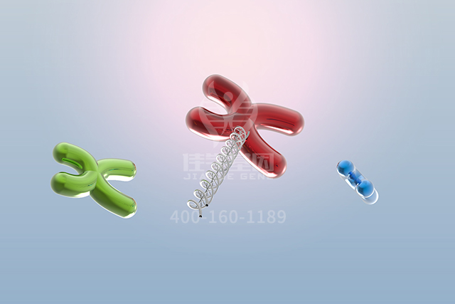 【佳学基因检测】盘古大模型ATP6V1E1突变检测的信息标签