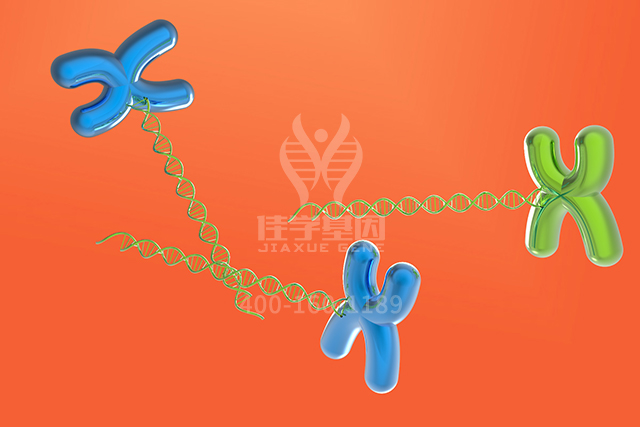 <span style='color:#0033CC'>【佳学基因检测】什么人要做由于ADA缺乏导致的SCID延迟发病型基因解码、基因</span>