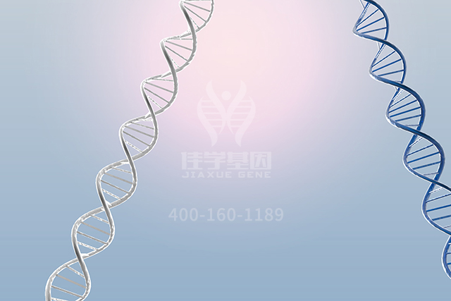 【佳学基因检测】骨科突变检测项目招标中关于APLP1的问题 【佳学基因检测】骨科突变检测项目招标中关于APLP1的问题