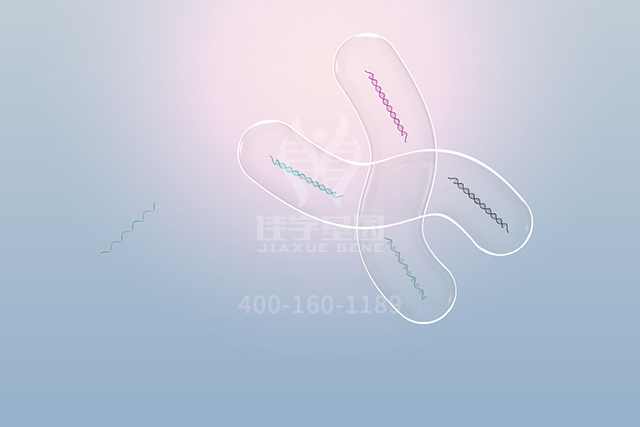 【佳学基因检测】AQP6分子病理检测的人工智能分析进展到什么地步？