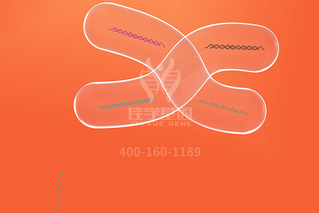 【佳学基因检测】皮肤科突变检测能力评估中可能问到的关于GET3的问题