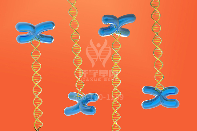 【佳学基因检测】神经科基因分子病理检测项目招标问题中关ASS1P9问题的答案