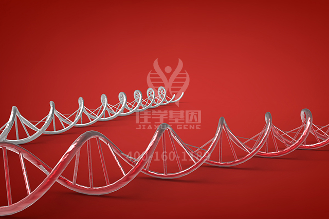 【佳学基因检测】主治医师突变检测ARR3内容要点