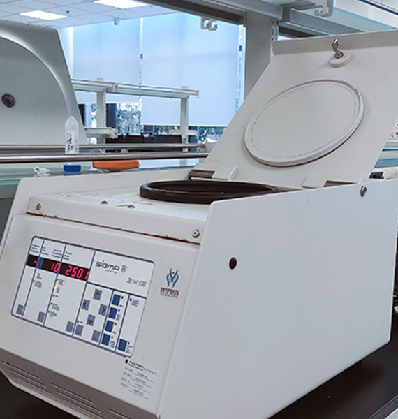 【佳学基因检测】斯塔加特黄斑变性病（Stargardt macular degeneration)基因解码、基因检测
