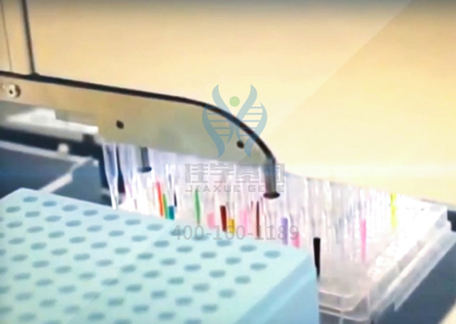 【佳学基因-基因检测】基因解码助力雷特综合征(RETT综合征）有效防治