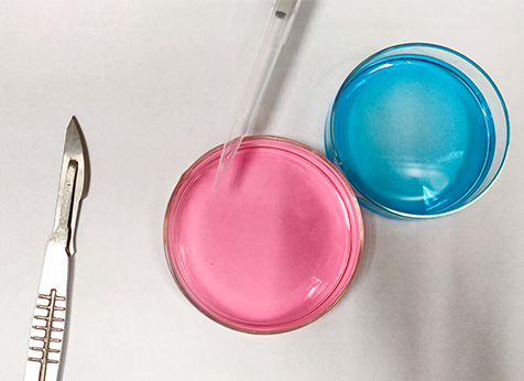 【佳学基因解码