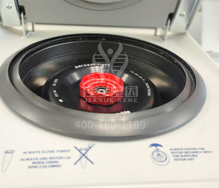 【佳学基因-基因检测】科普|关于肿瘤与癌症的关系,你真的了解吗? 【佳学基因-基因检测】科普|关于肿瘤与癌症的关系,你真的了解吗?