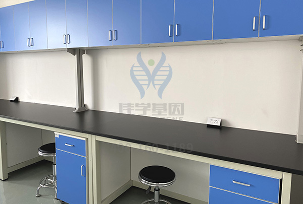 【佳学基因检测