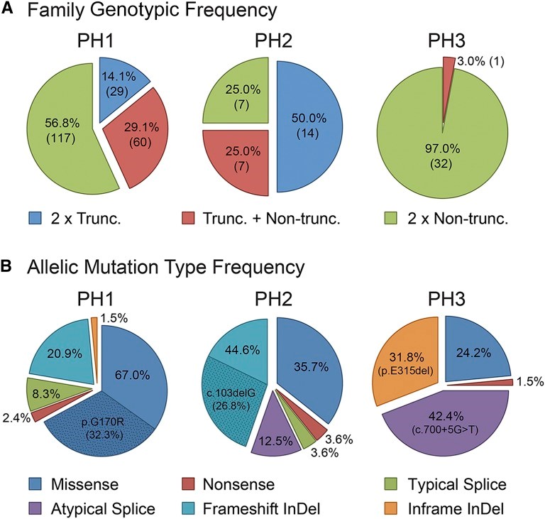 【佳学基因检测】原发性高草酸尿症基因检测 【佳学基因检测】原发性高草酸尿症基因检测