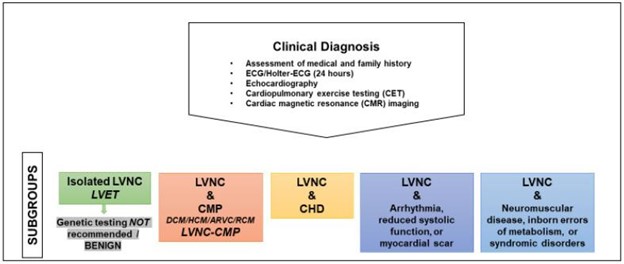 【佳学基因检测】儿童左心室致密化不全基因检测及形态功能学分析对治疗的影响