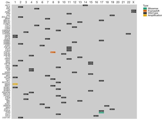 【佳学基因检测】男性原发性肺绒毛膜癌基因检测报告