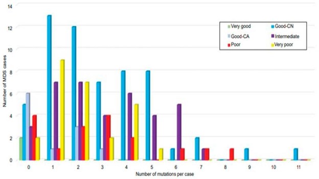 【佳学基因检测】骨髓增生异常综合征的基因解码与基因检测:诊断和筛查基础 【佳学基因检测】骨髓增生异常综合征的基因解码与基因检测:诊断和筛查基础