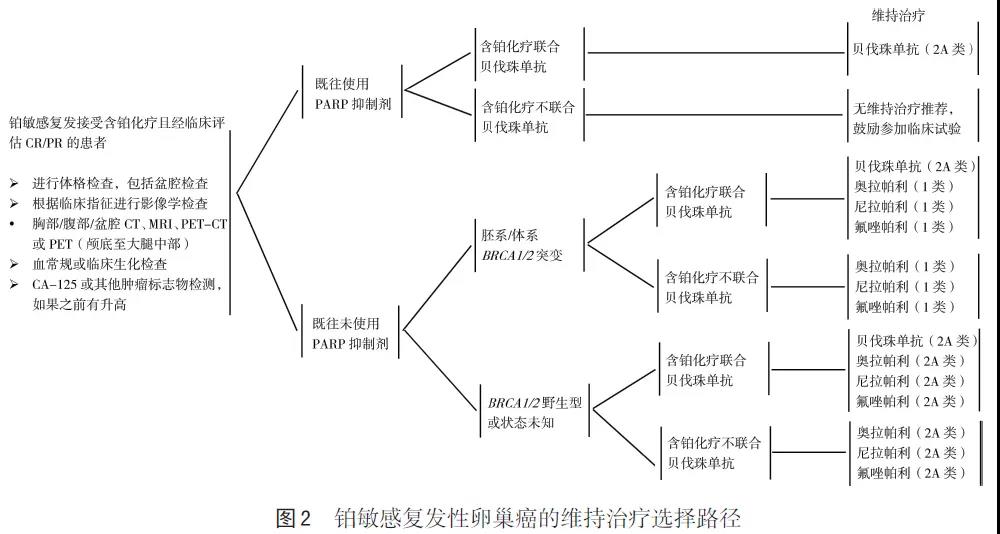 【佳学基因检测】中国卵巢上皮性癌维持治疗指南标准及基因检测要求