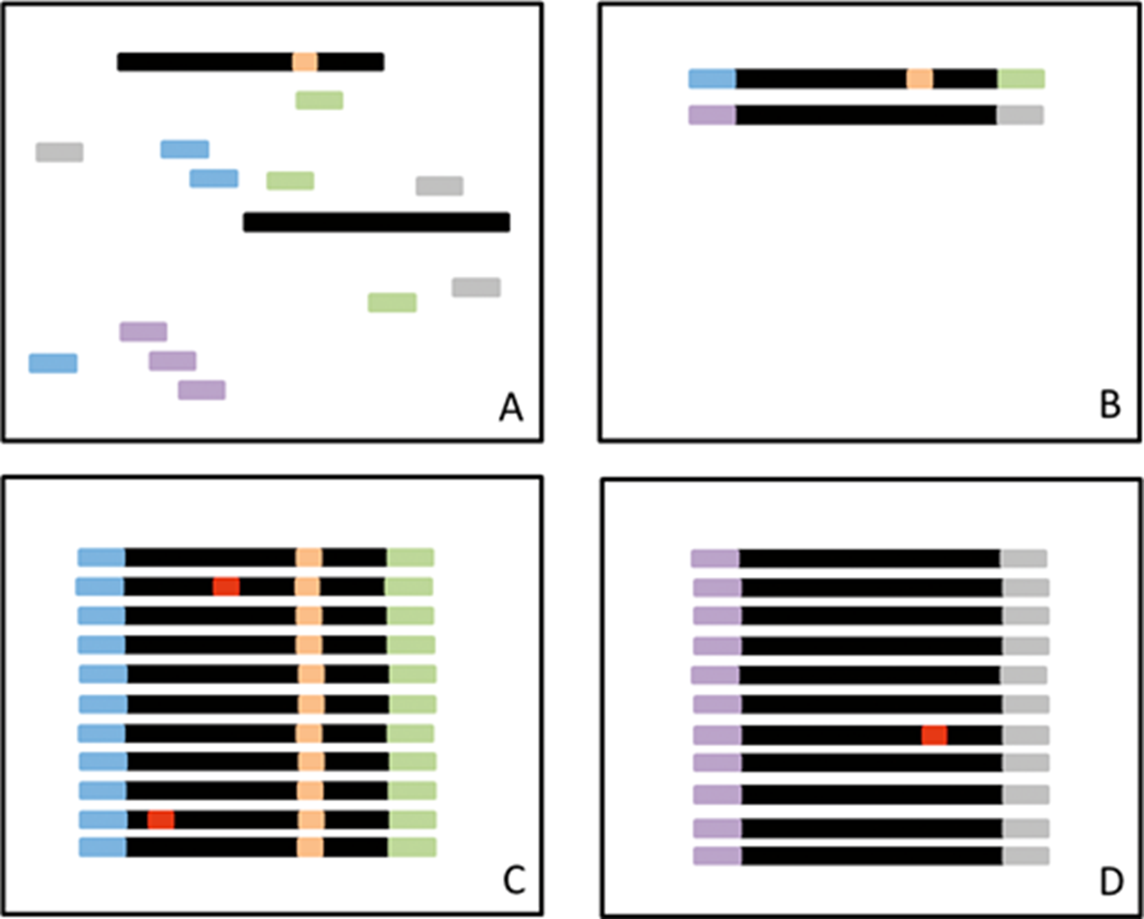 【佳学基因检测13】医院所需要的下一代测序技术（NGS测序）