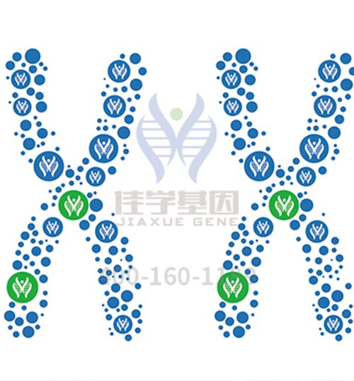 【佳学基因解码-基因检测】古今中外，有哪些王室被“遗传病噩梦”所困扰？