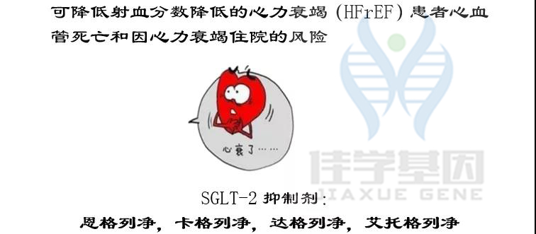 【佳学基因检测】如果没有做基因检测，糖尿病用药至少要知道这些要点
