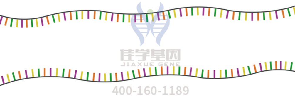 【佳学基因检测】男性生殖科疾病风险评估资质考核中关于GABPA的问题及答案