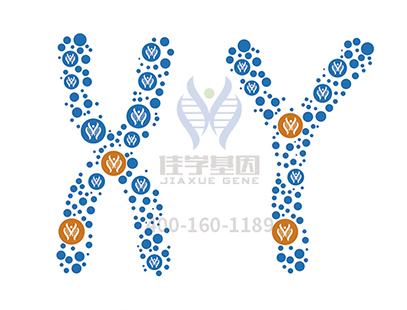 【佳学基因检测】脏器性肥胖基因解码、基因检测 【佳学基因检测】脏器性肥胖基因解码、基因检测