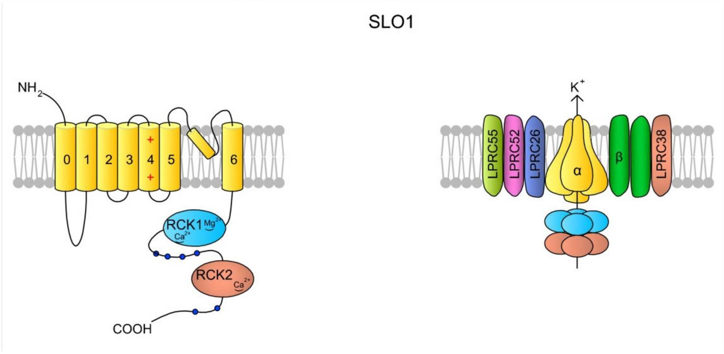 【佳学基因检测】什么是基因解码？