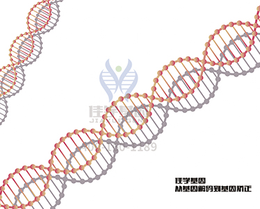 【佳学基因检测】肾癌基因解码、基因检测