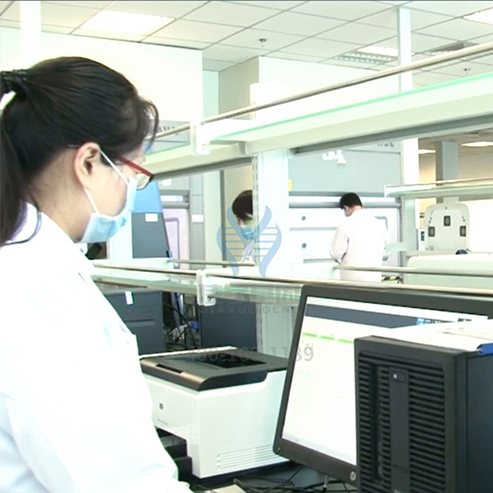 【佳学基因解码-基因检测】罕见病基因检测之C3肾小球病