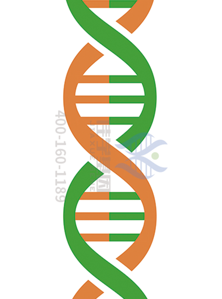 【佳学基因-基因检测】带你了解先天性再生障碍性贫血 【佳学基因-基因检测】带你了解先天性再生障碍性贫血