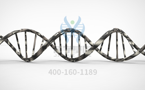【佳学基因案例