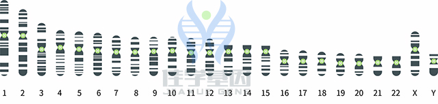 【佳学基因检测】什么是基因检测GPS定位技术？