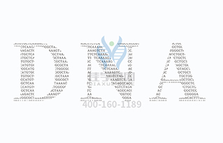 【佳学基因检测】最新研究：喝酒基因与选择伴侣有关
