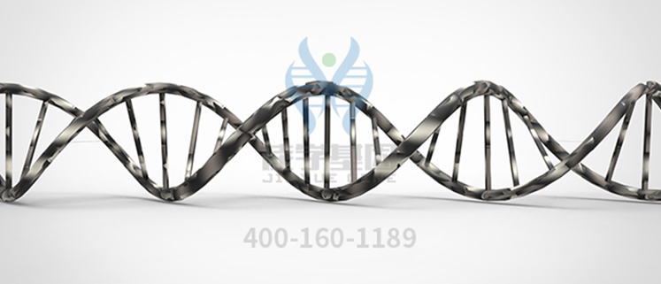 【佳学基因案例】多囊肾基因检测、基因解码