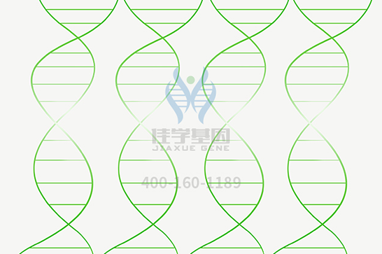 【佳学基因检测