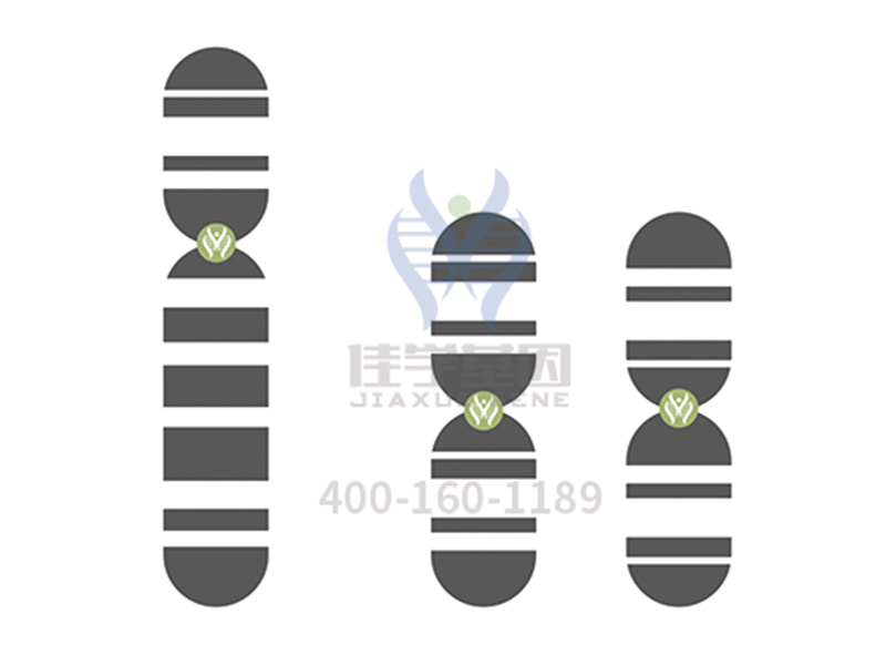 【佳学基因案例】神经纤维瘤基因检测、基因解码