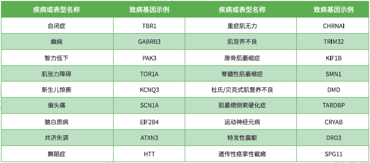 【佳学基因检测】神经肌肉系统疾病致病基因鉴定基因解码