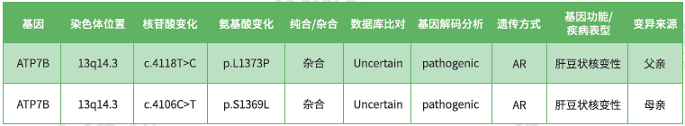 【佳学基因检测】遗传代谢性疾病致病基因鉴定基因解码 【佳学基因检测】遗传代谢性疾病致病基因鉴定基因解码