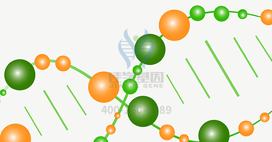 【佳学基因-基因检测】劈腿或是天生的，都是基因的“锅”