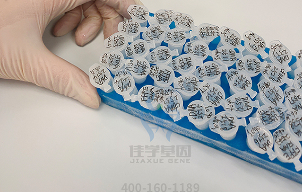 【佳学基因检测】四川省德阳市基因检测应用基地 【佳学基因检测】四川省德阳市基因检测应用基地