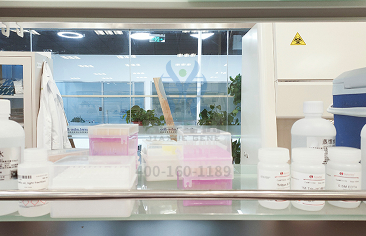 【佳学基因-基因