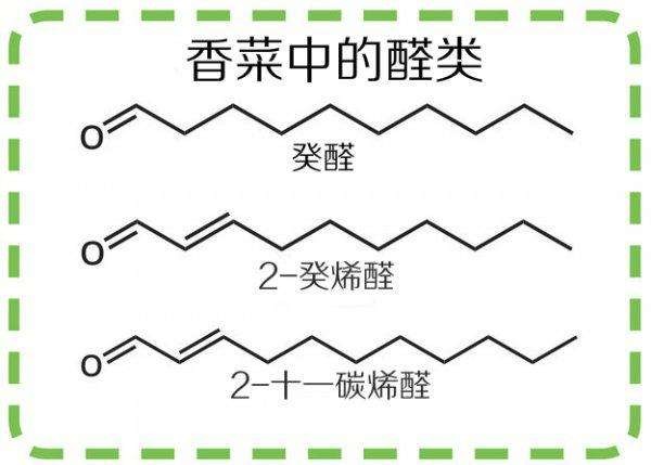 【佳学基因解码-基因检测】为什么你这么讨厌香菜？