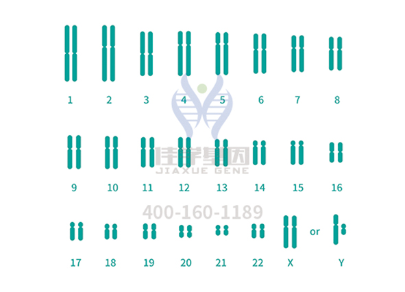 【佳学基因—案例】苯丙酮尿症基因解码在临床中的应用